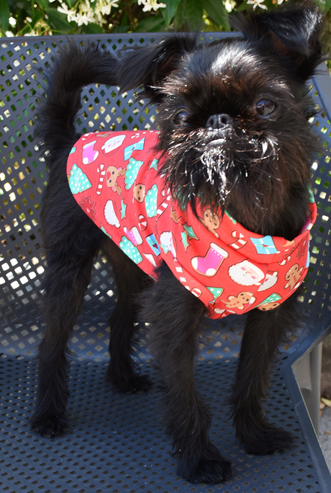 Holly's Christmas Tank