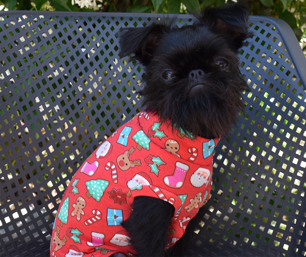 Holly's Christmas Tank