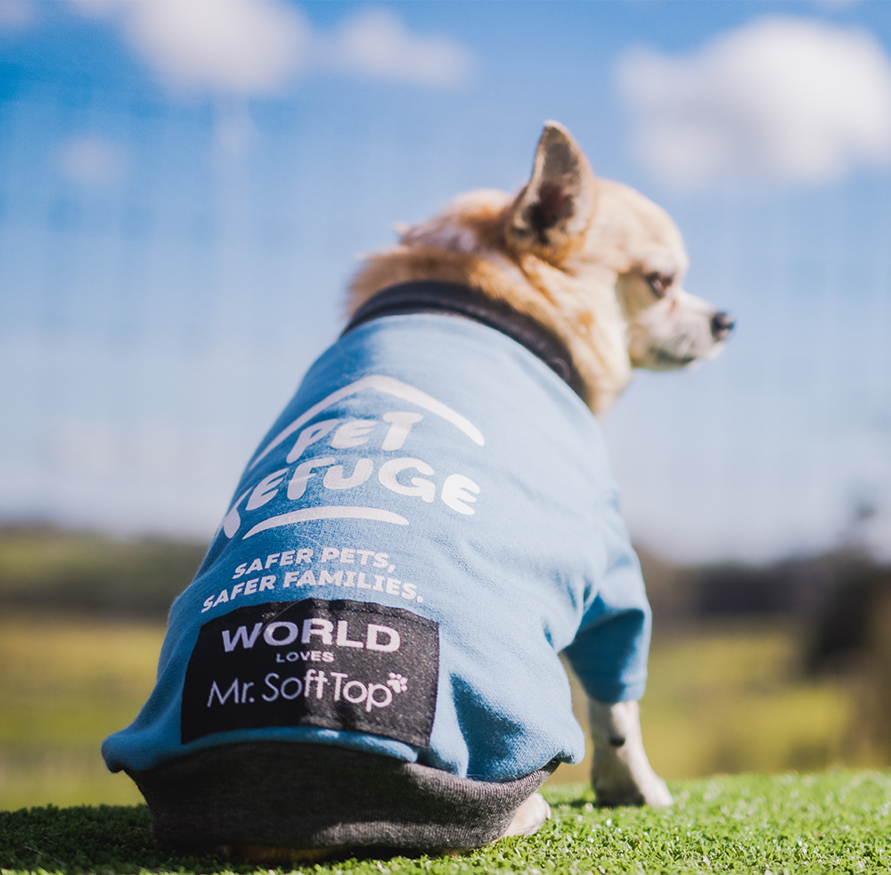 WORLD Loves Mr Soft Top x Pet Refuge Blue Weekend Sweater