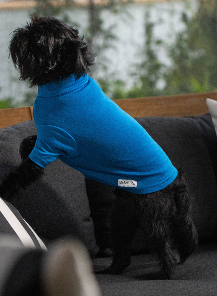 Kingfisher Blue Merino Tee