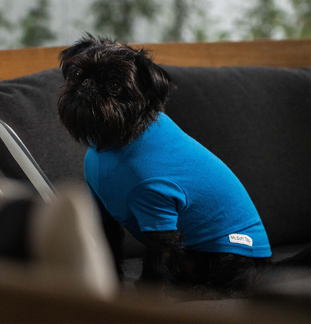 Kingfisher Blue Merino Tee