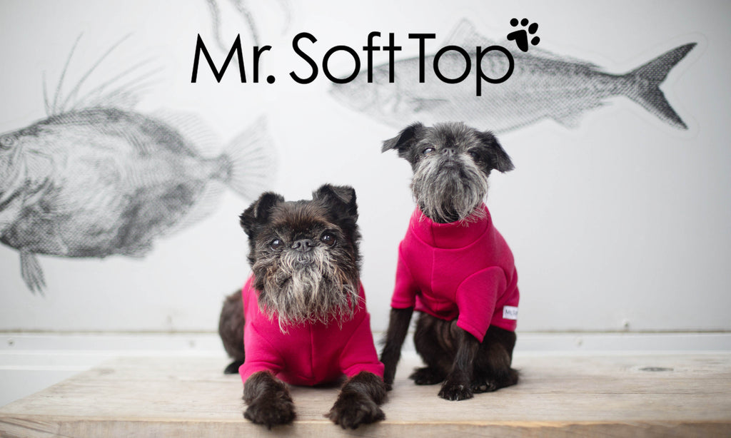 Mr Soft Top