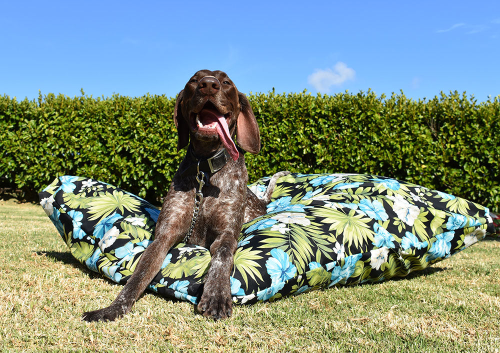 Hibiscus Outdoor Dog Bed