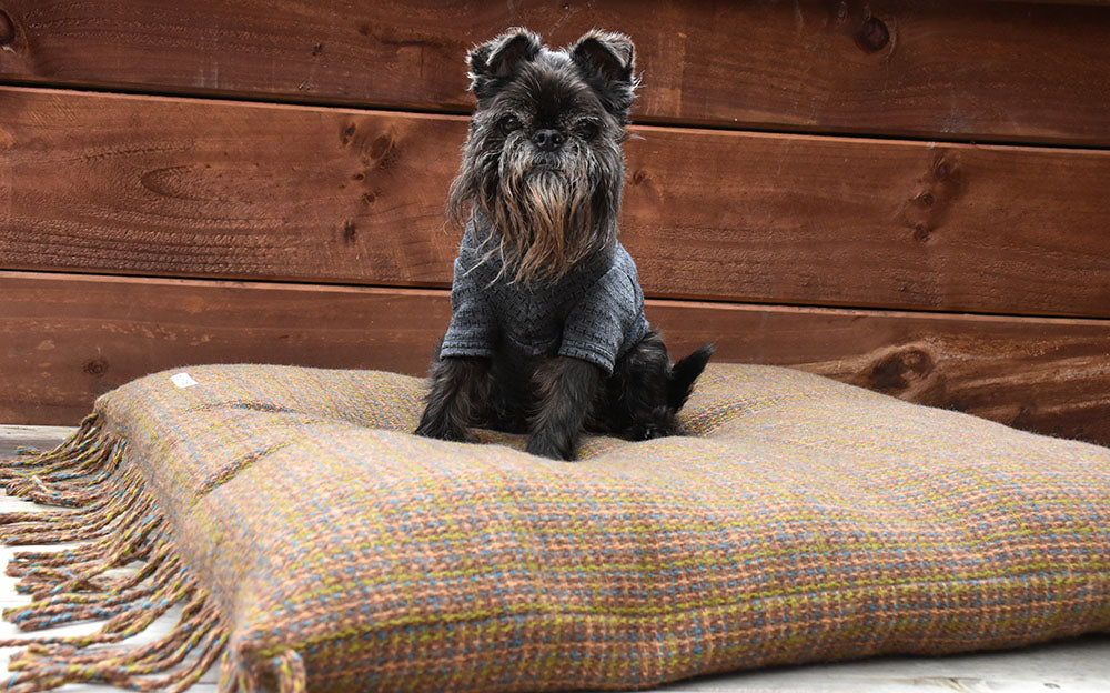 Taupe, Turquiose and Green 100% Lambswool Luxury Dog Bed