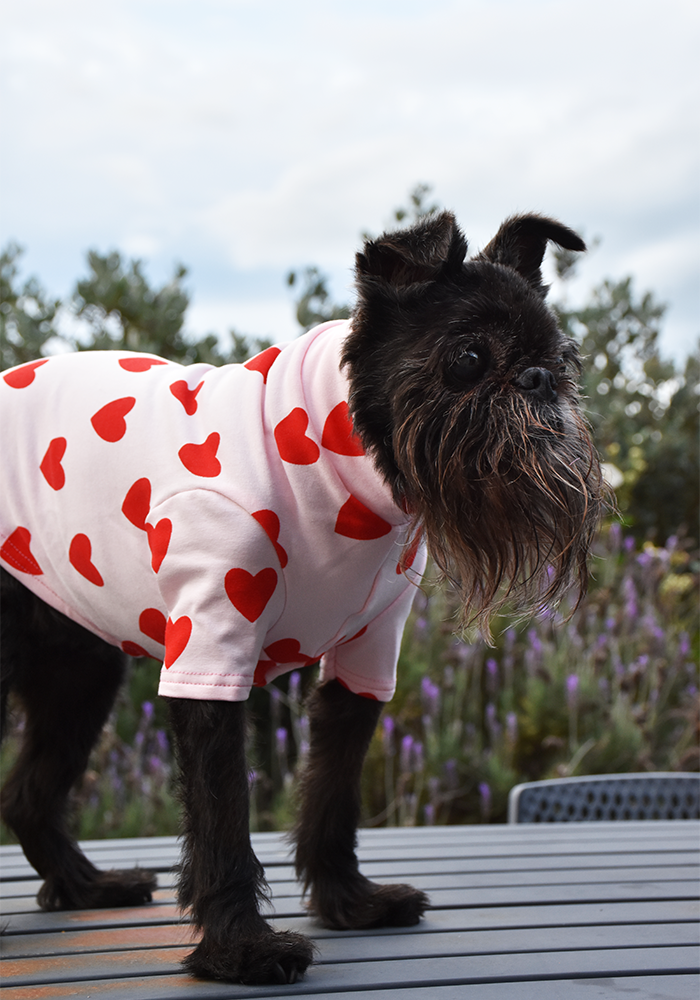 Gotta Love Me - Cotton Tee