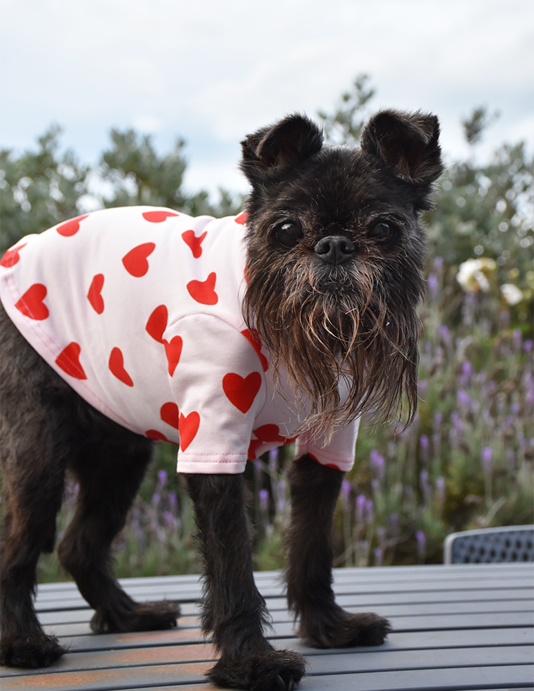 Gotta Love Me - Cotton Tee