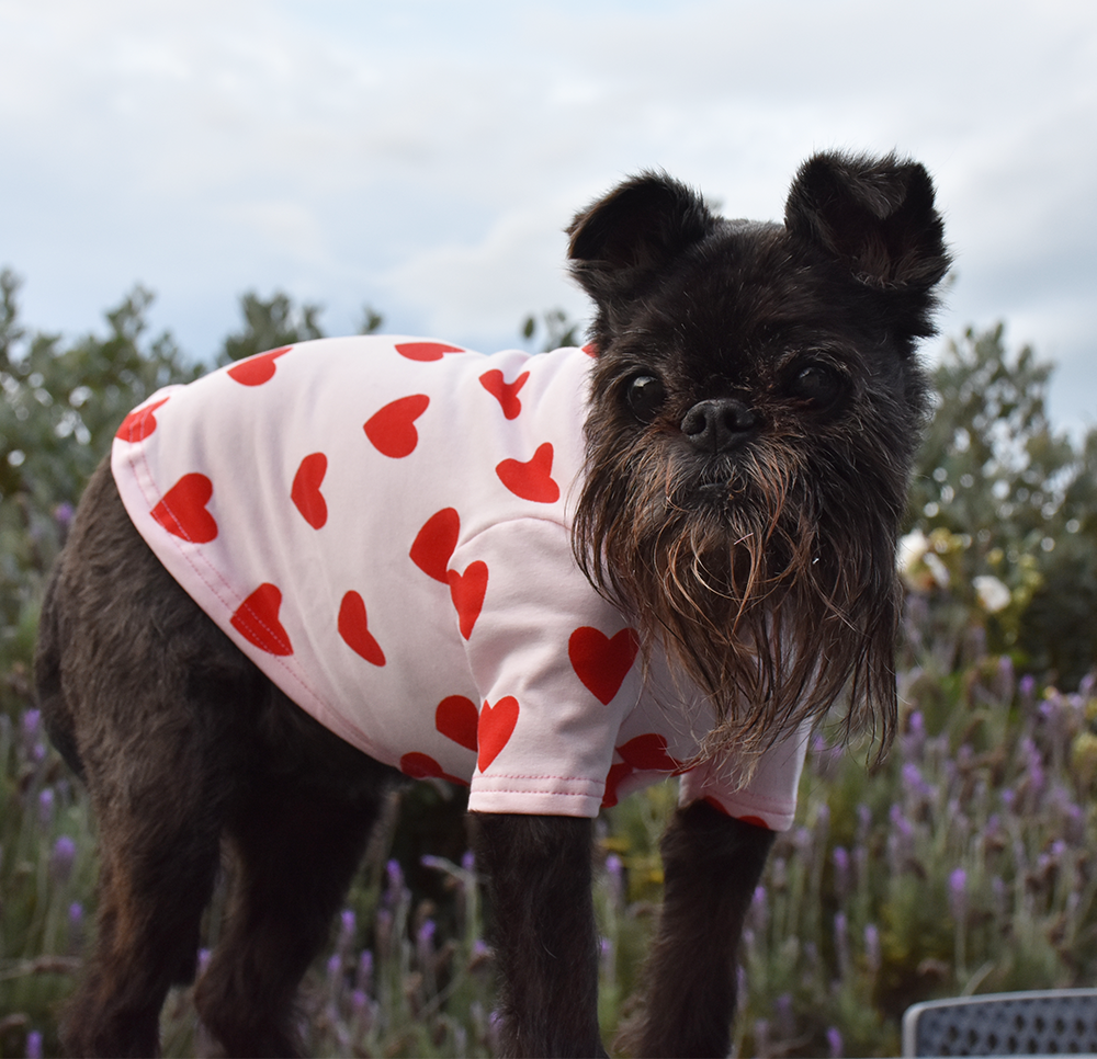 Gotta Love Me - Cotton Tee