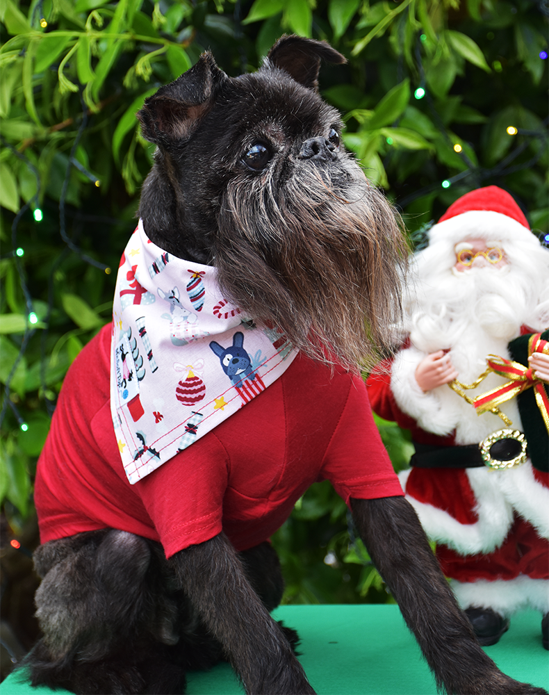 Baby Pink Christmas Doggie Bandana