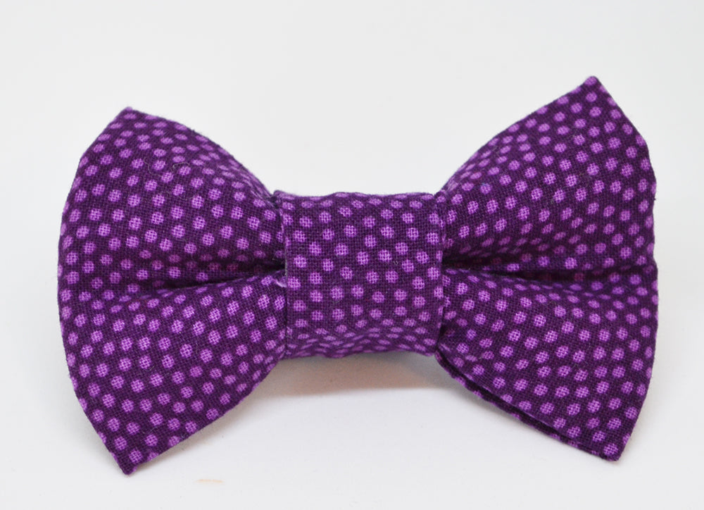 Purple Spot Bow
