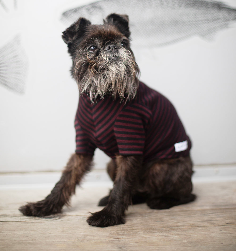 Luxury Striped Winter Weight Merino Tee – Mr Soft Top Dogwear