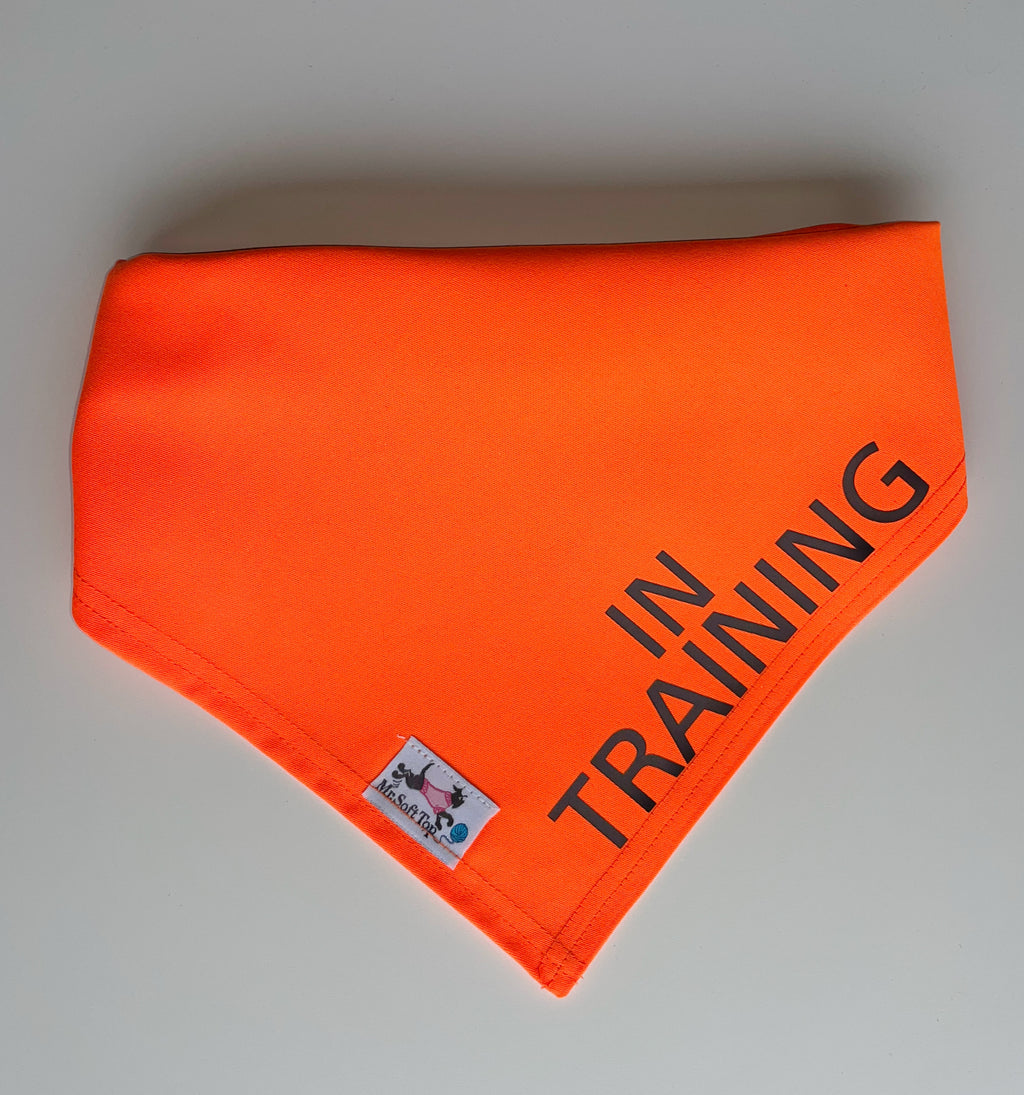 Electric Orange “In Training” Dog Bandana Mr Soft Top Dogwear