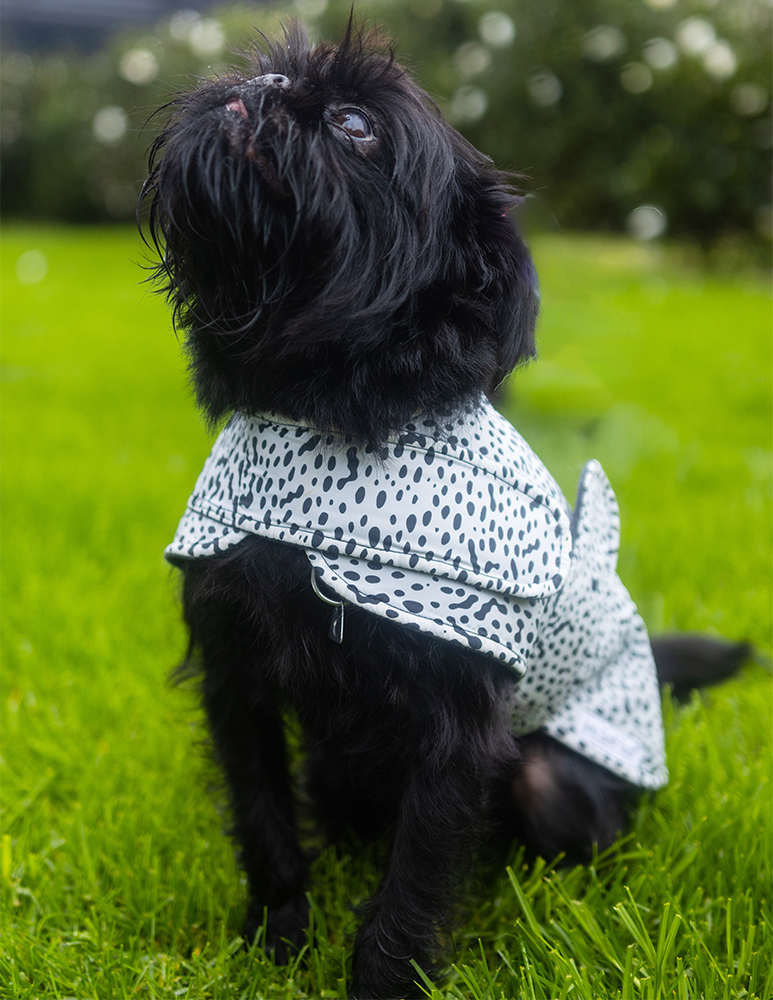 101 Dalmatians Raincoat