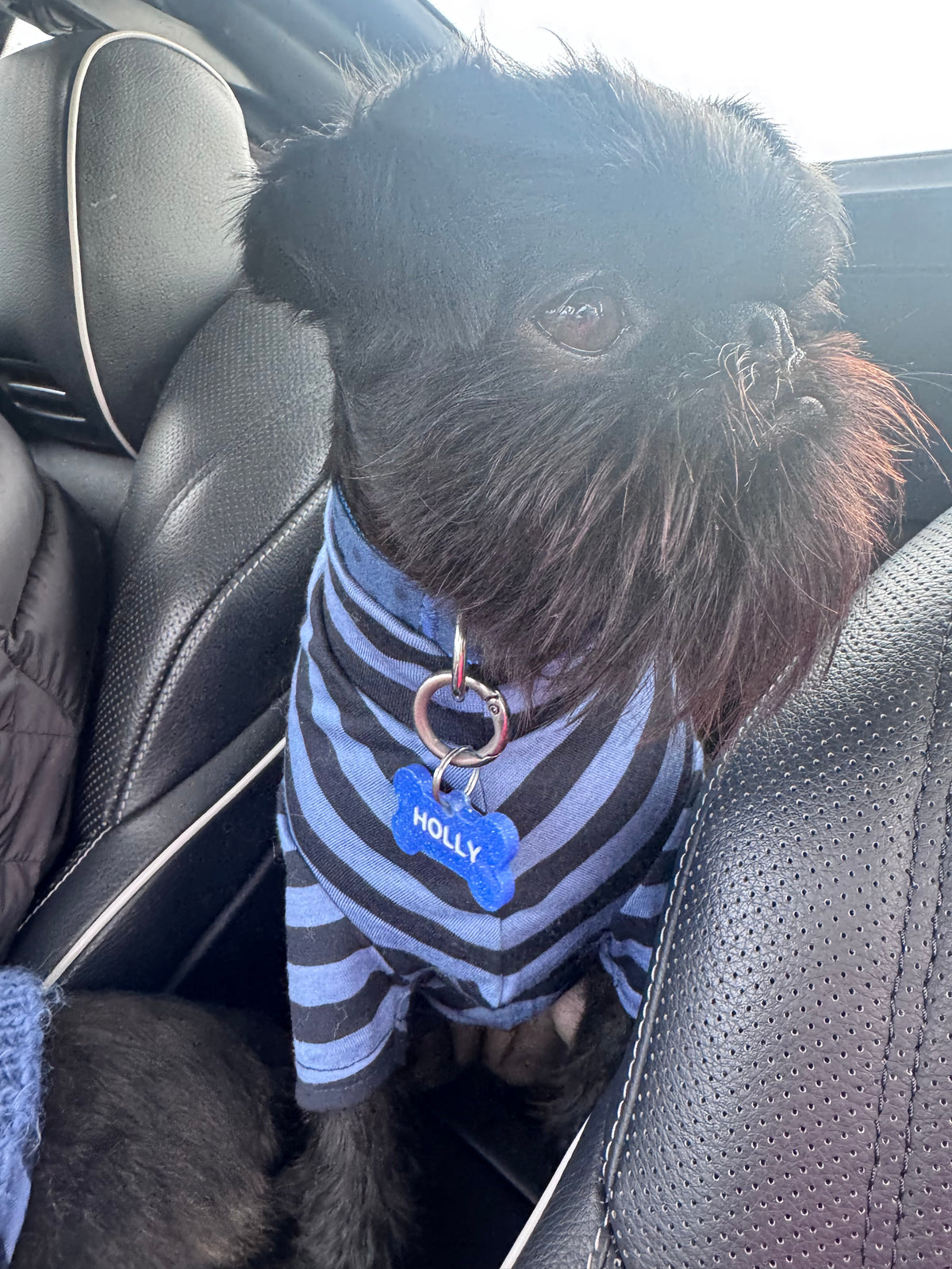 Say My Name - Custom Bone Shaped Name Tag