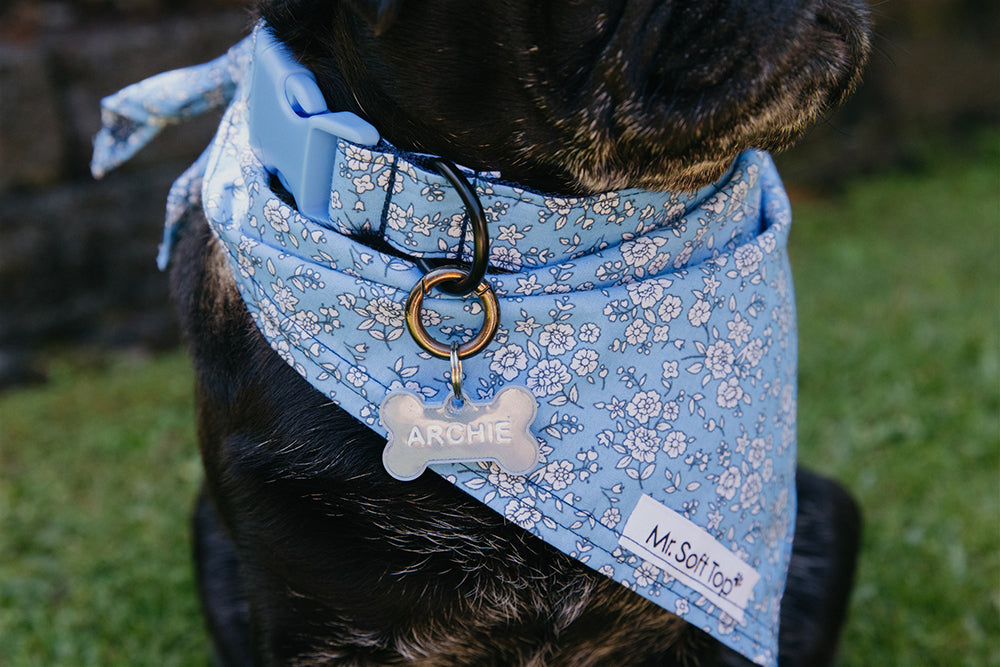 Say My Name - Custom Bone Shaped Name Tag - Silver Blue