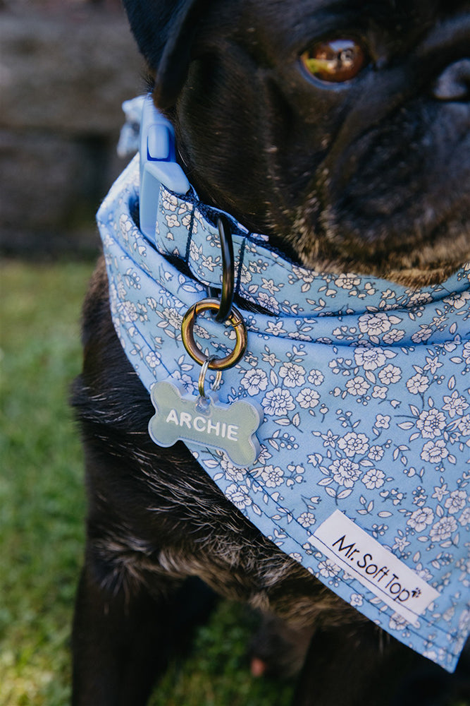 Say My Name - Custom Bone Shaped Name Tag - Silver Blue