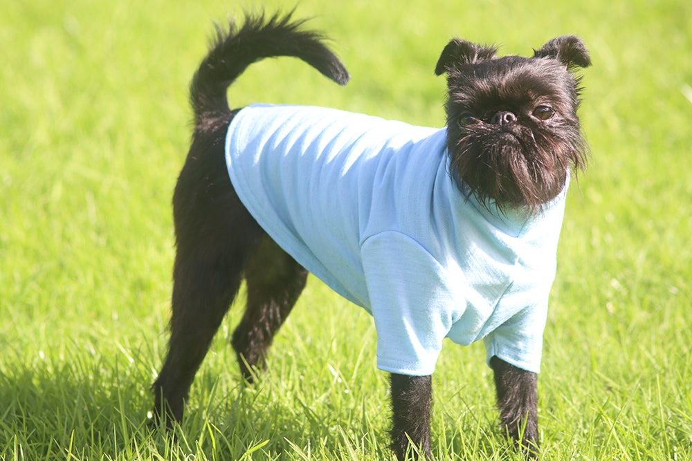 Baby Blue 100% Merino Tee