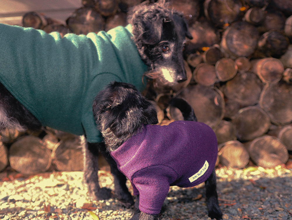 Blackcurrent Pure Wool Dog Tee
