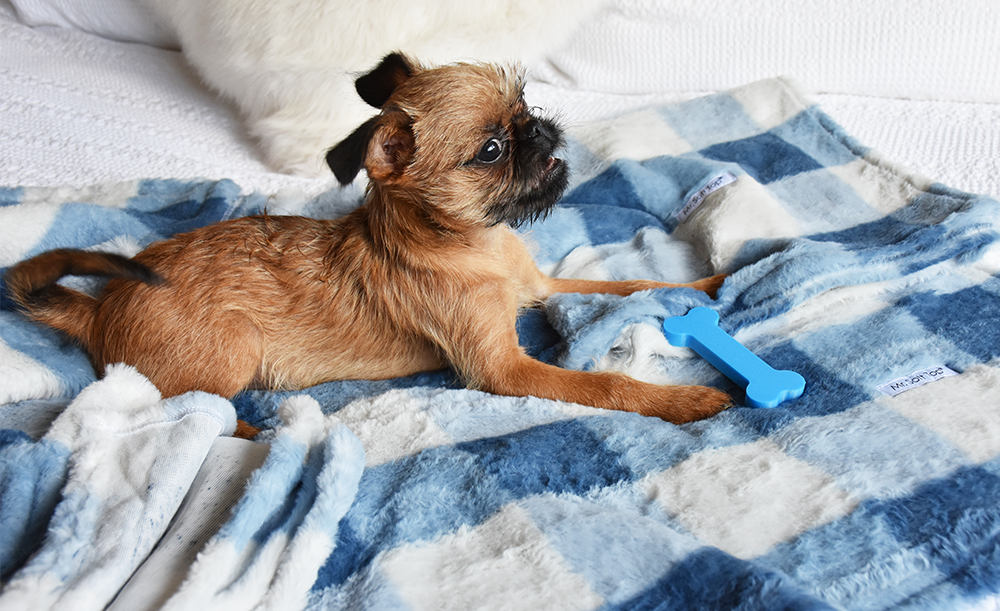 Blue Check Faux Fur Puppy Blanket - Easy Wash