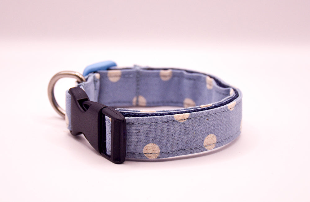 Light Blue Spot Collar