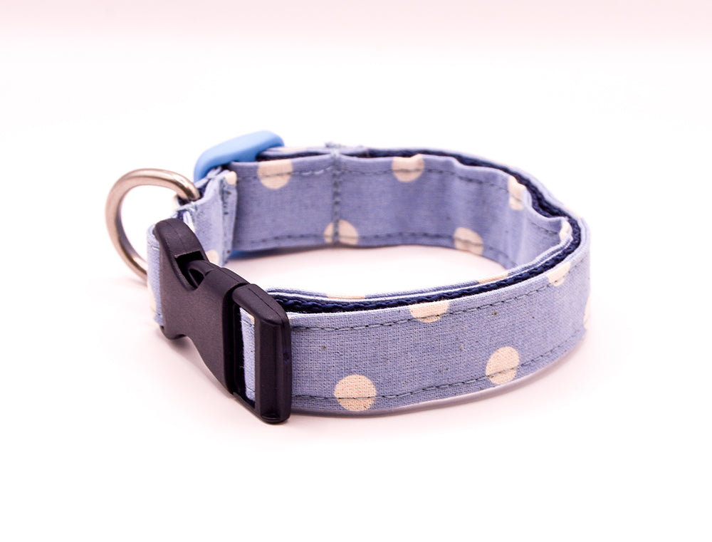 Light Blue Spot Collar