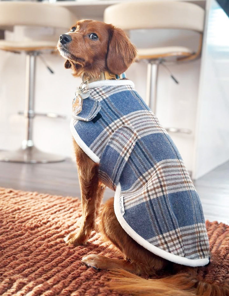 Light Blue Tartan Wool Walking Coat