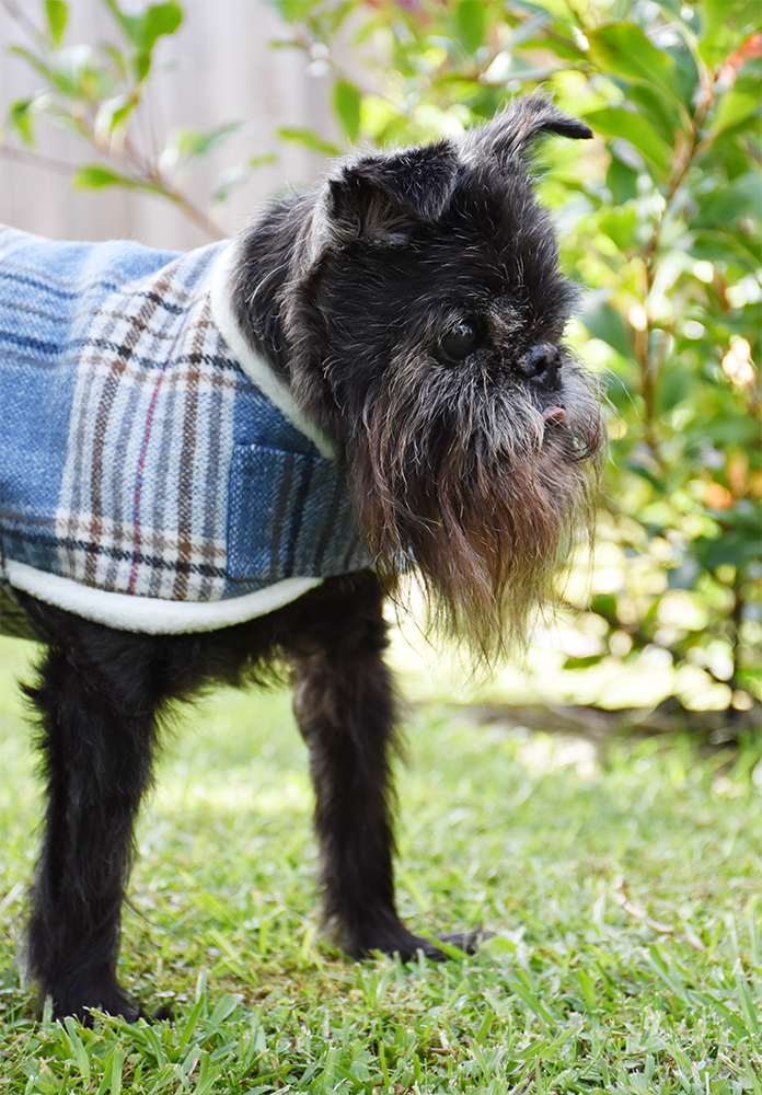 Light Blue Tartan Wool Walking Coat