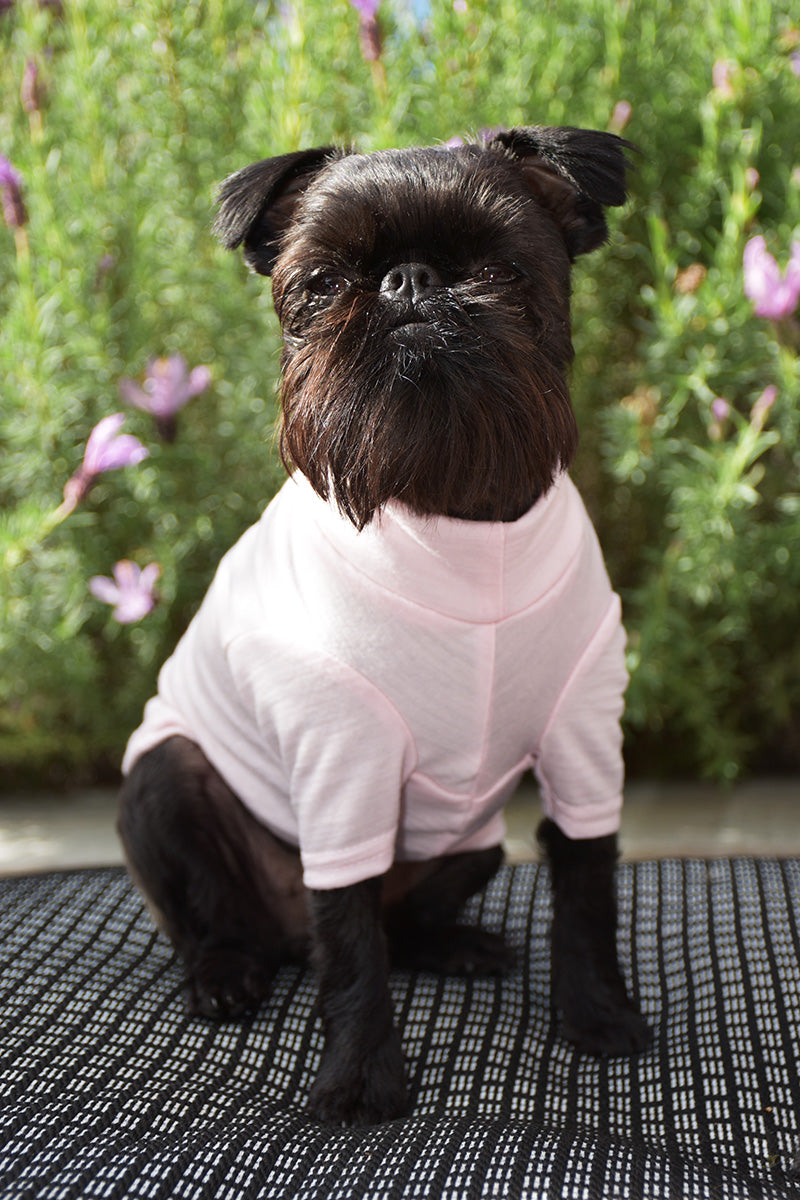 Blush Pink Merino Dog Tee