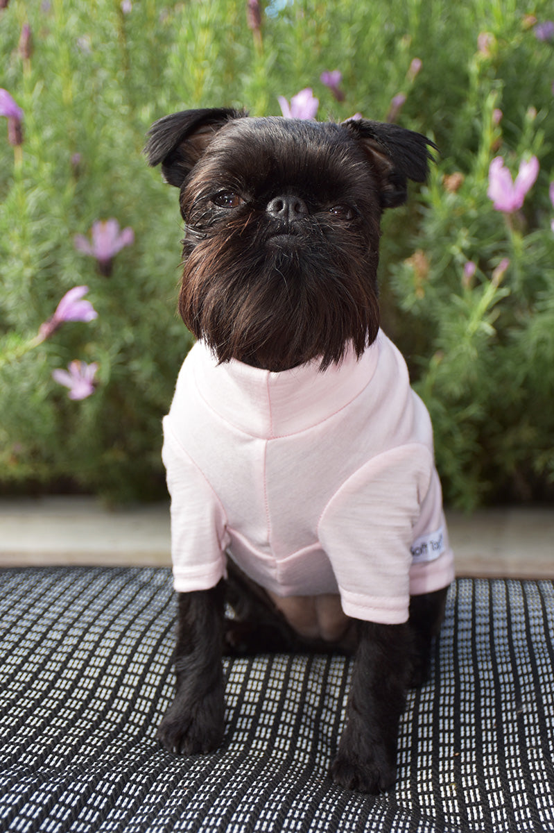 Blush Pink Merino Dog Tee