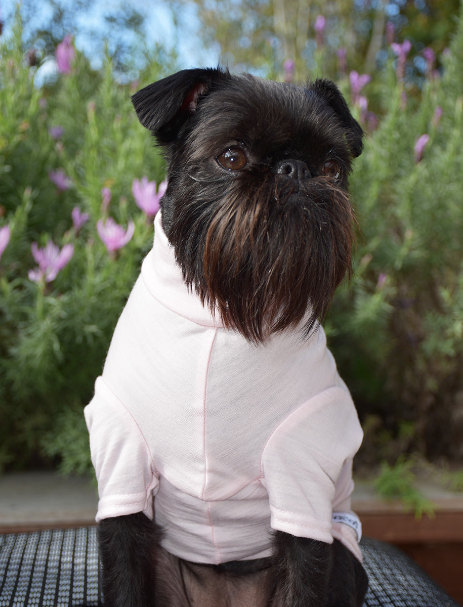 Blush Pink Merino Dog Tee
