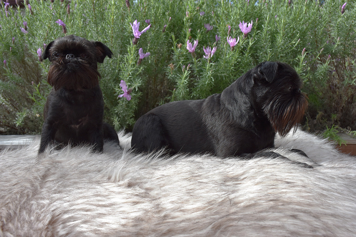 Light Blush Long Pile Faux Fur Bed