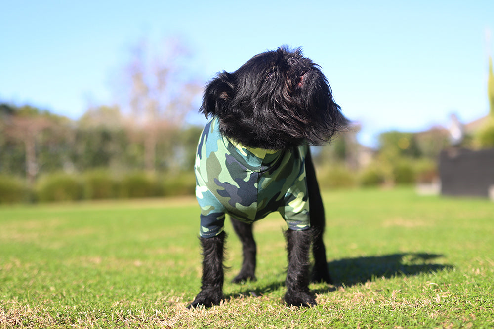Green Camo Cotton Dog Tee