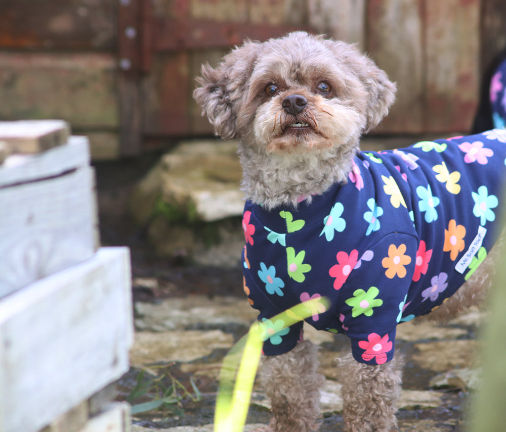 A Daisy a Day Cotton Spring Tee