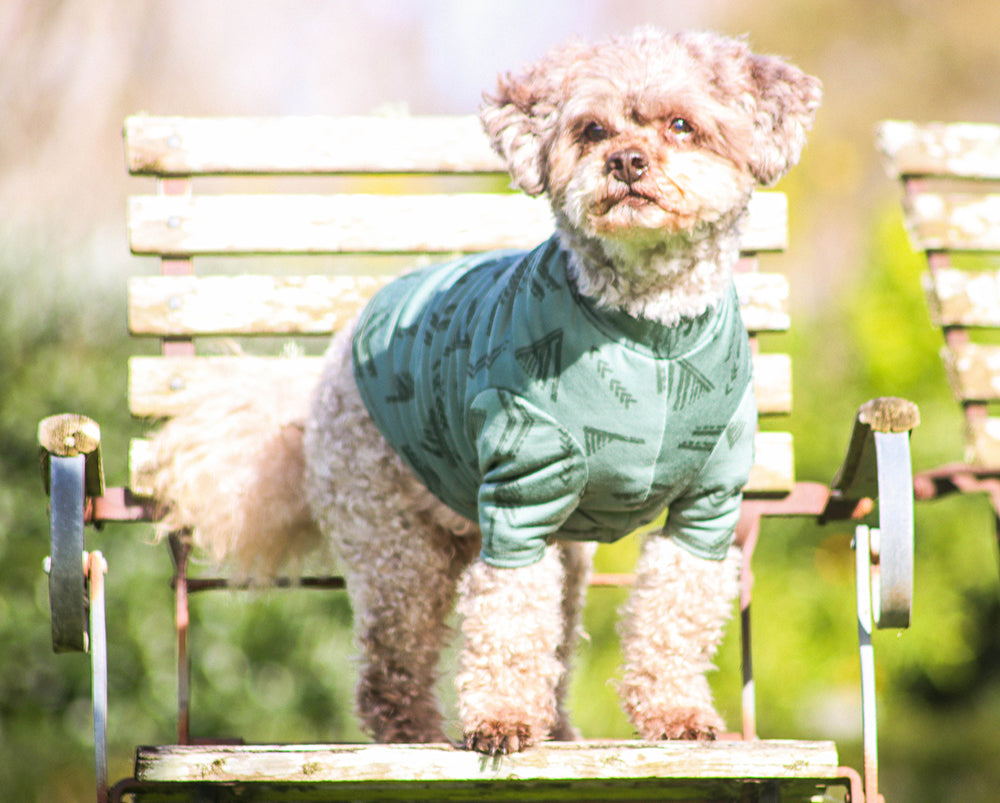 Soft Green Abstract Pattern Merino Tee