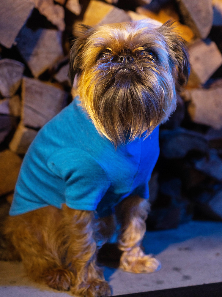 Cornflower Blue Stretchy Merino Tee