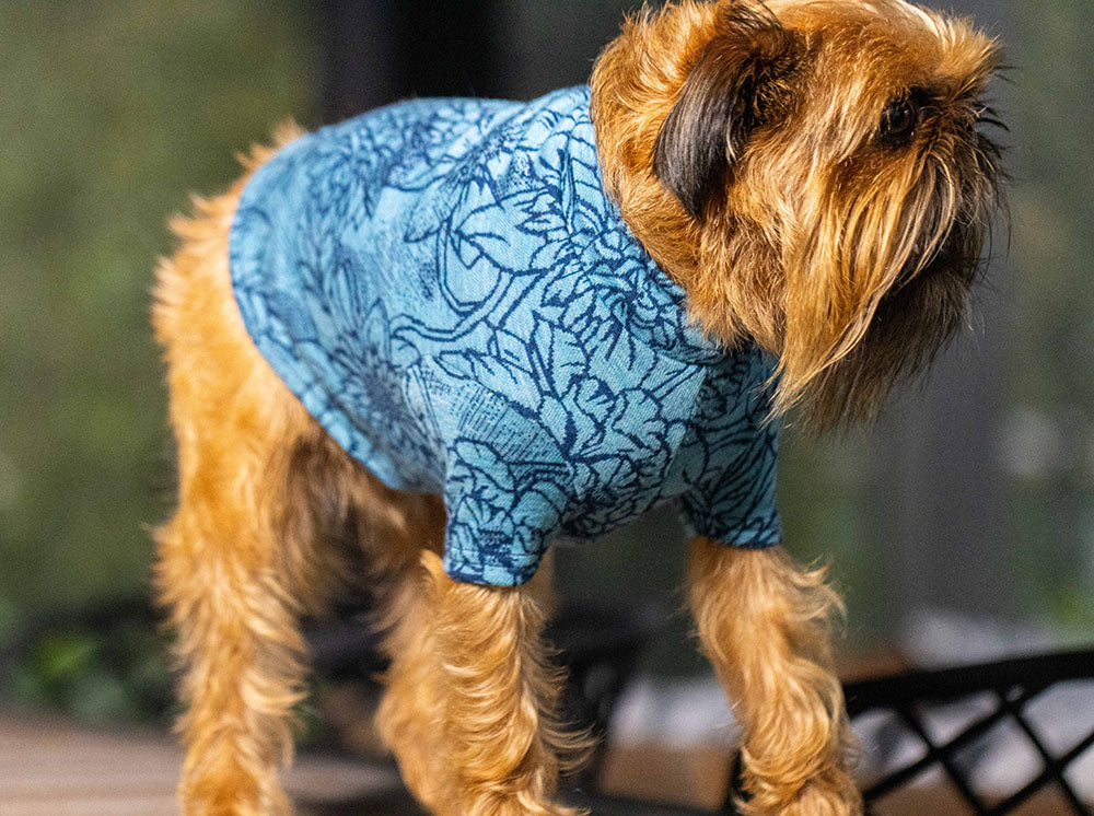 Daisy Blue Merino Tee