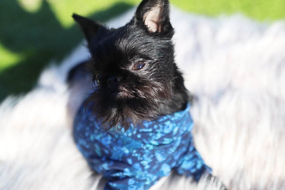 Blue Geometric Pattern Merino Tee