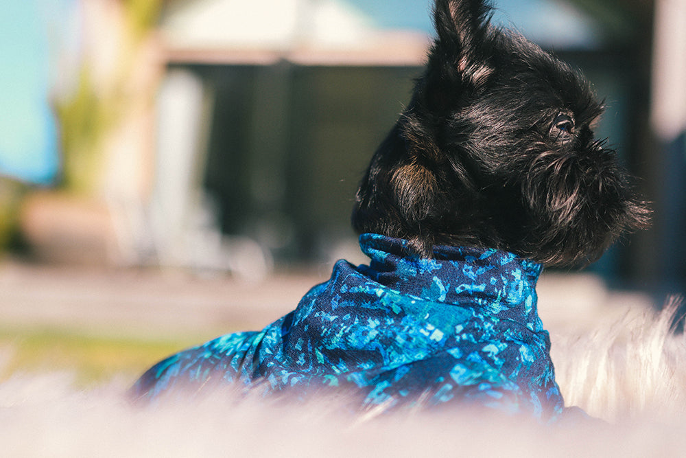 Blue Geometric Pattern Merino Tee