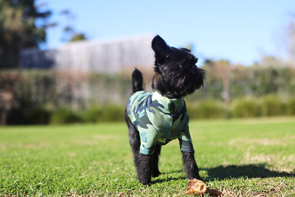 Green Camo Cotton Dog Tee