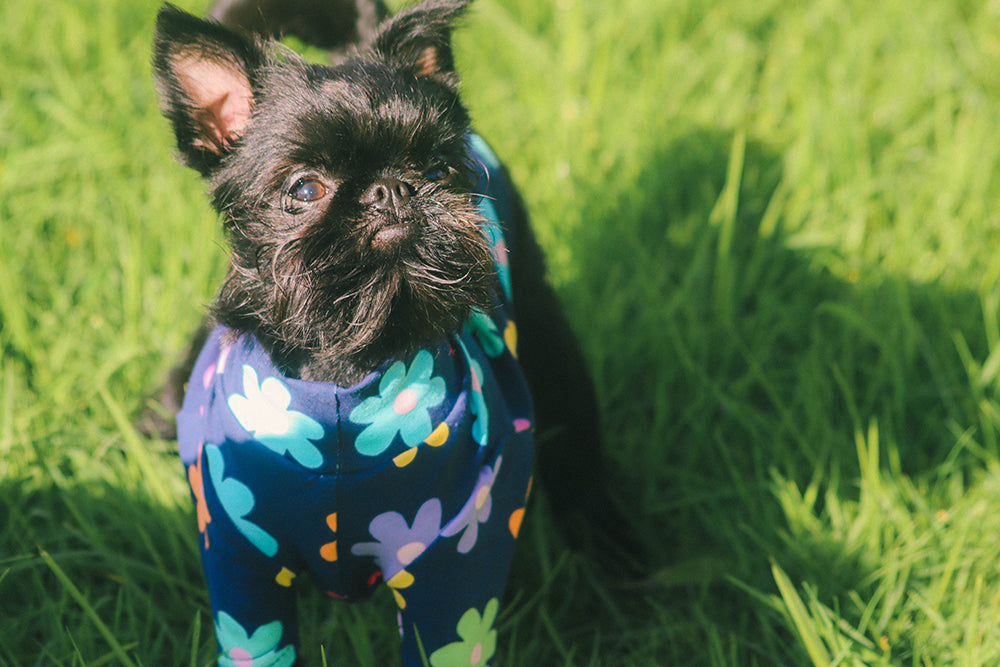 A Daisy a Day Cotton Spring Tee