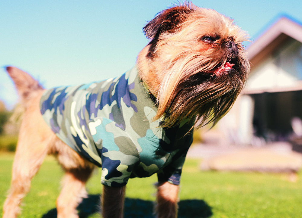 Green Camo Cotton Dog Tee