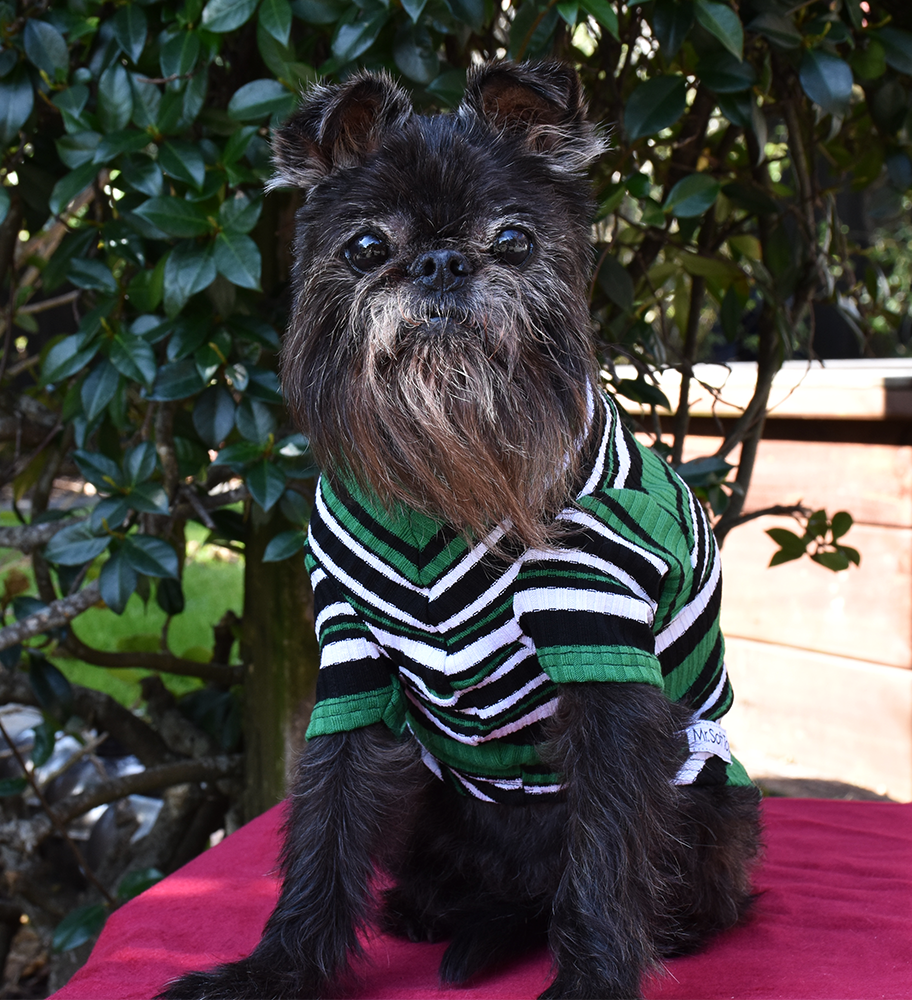 Green/Black/White Striped Cotton Tee