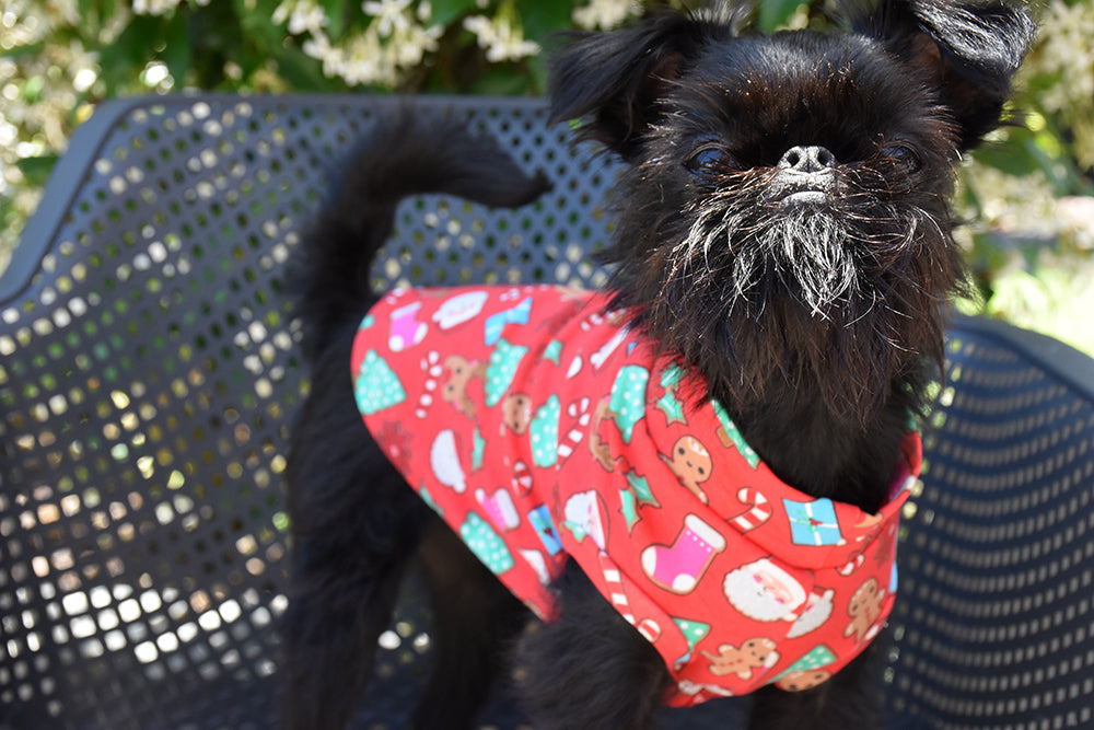 Holly's Christmas Tank