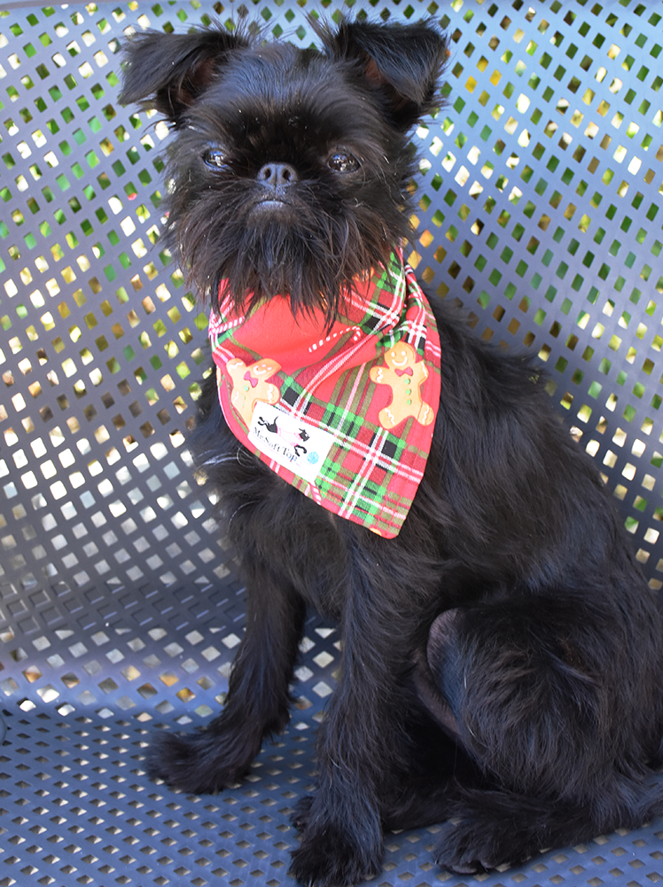 Tartan Gingerbread Christmas Bandana
