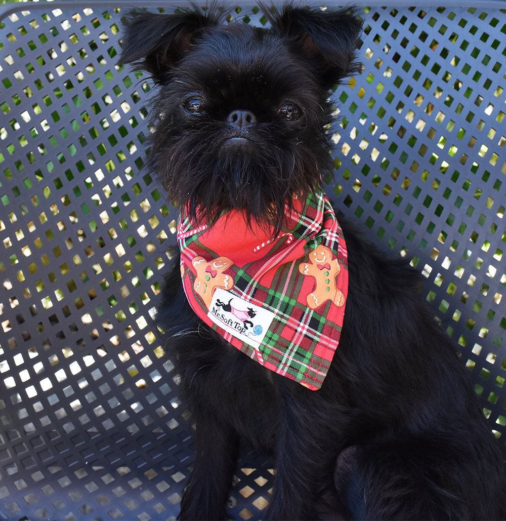 Tartan Gingerbread Christmas Bandana