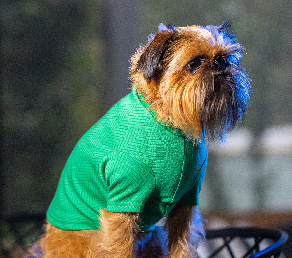 Jade Chevron Merino Tee