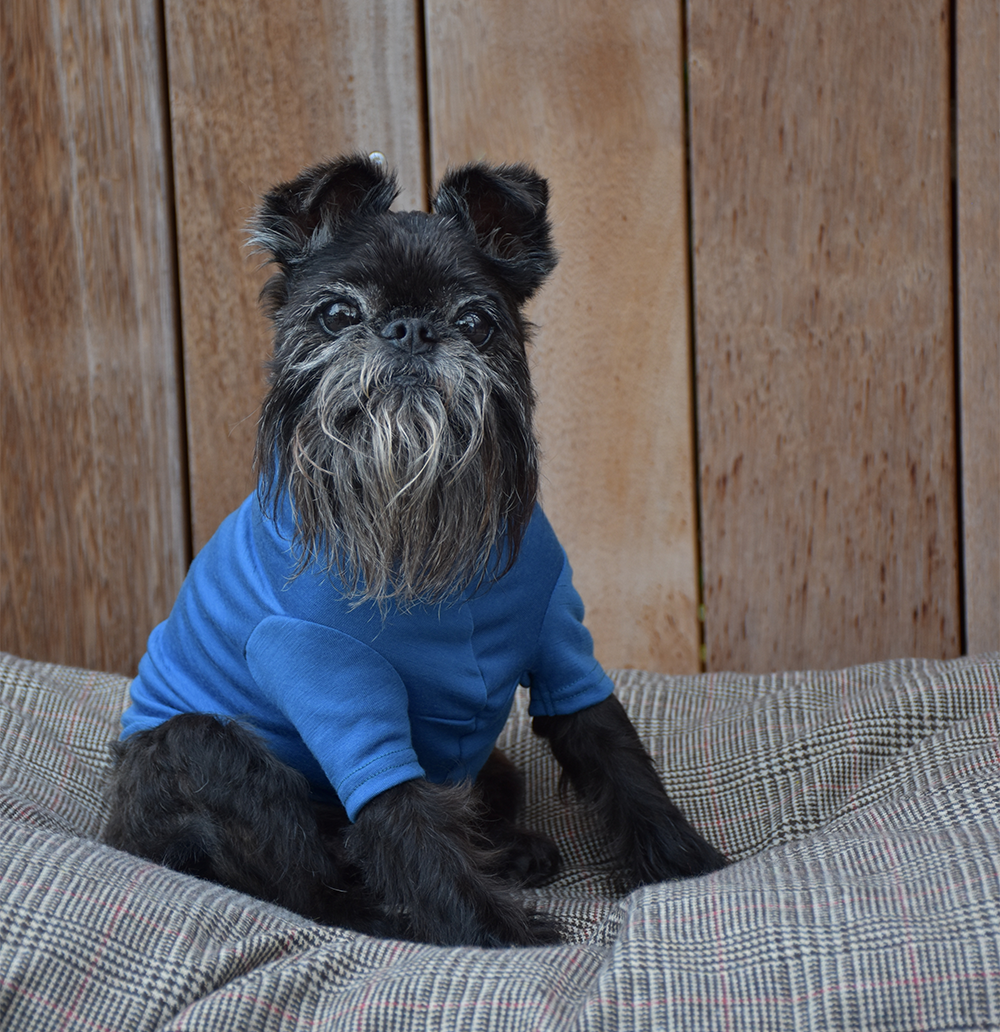 Kingfisher Blue Merino Tee