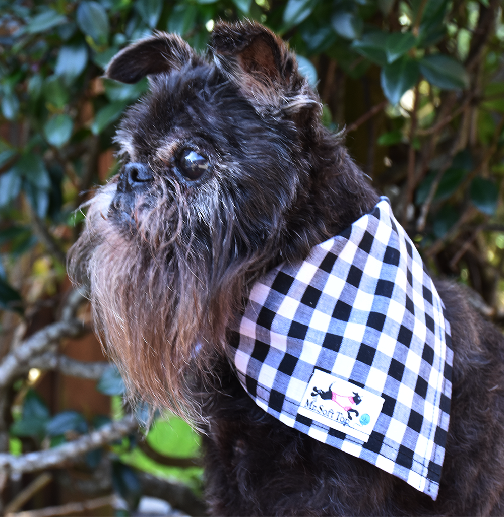 Black and White Check Bandana