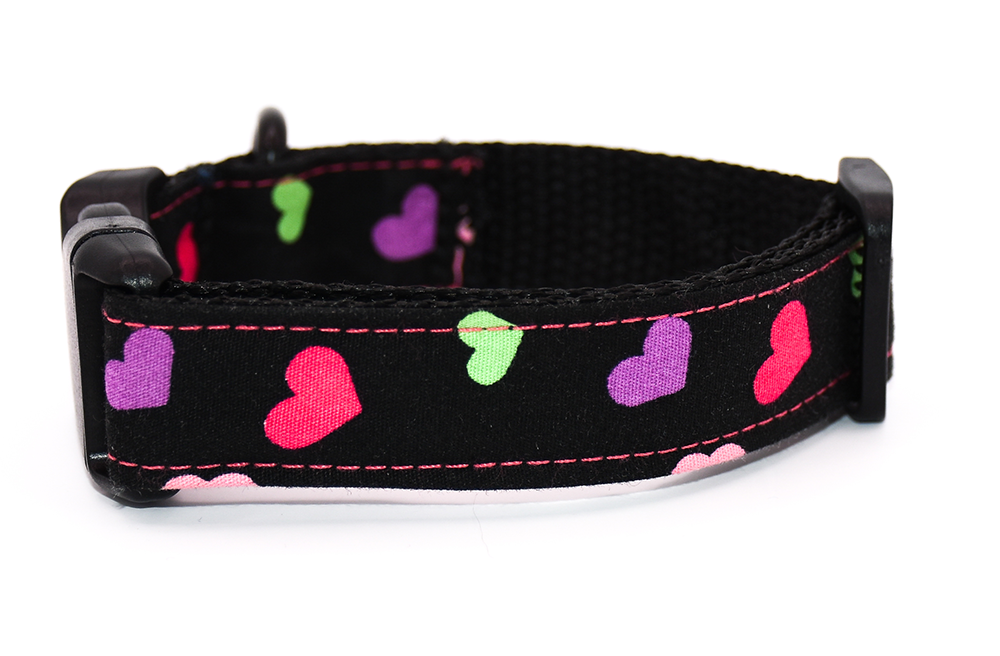 Love hearts on Black Collar