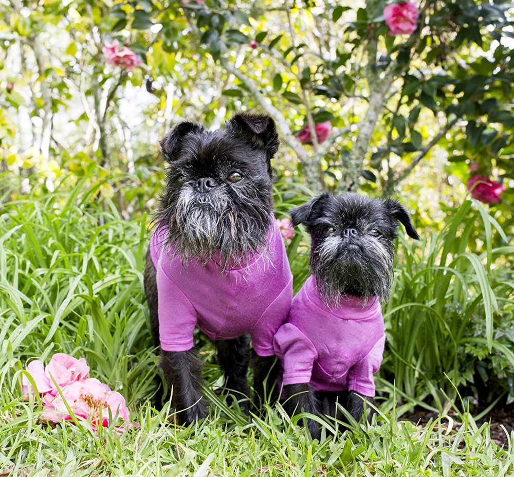 Mauve Pink Merino Tee