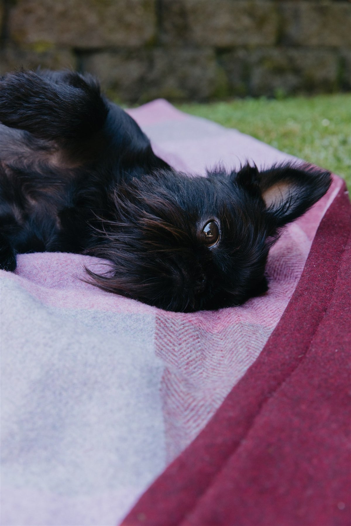 Dark Pink, Burgundy and Grey  Pure Wool Blanket